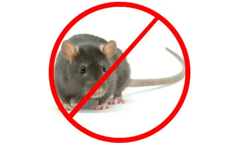 Rodent Control