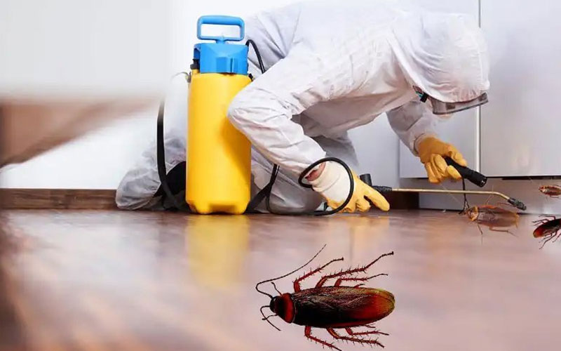 Cockroaches Control