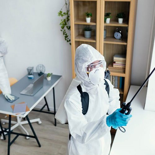 Welcome To Ayodhya Pest Control Services