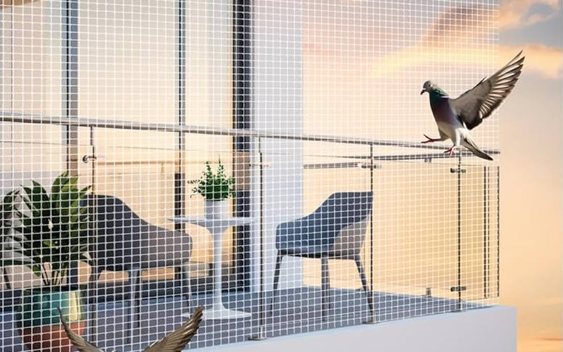 Bird Netting Services