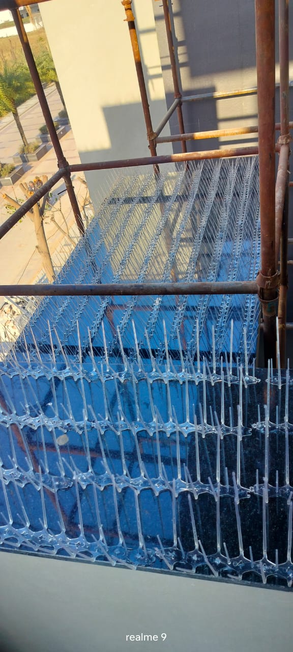 Gallery Image 8